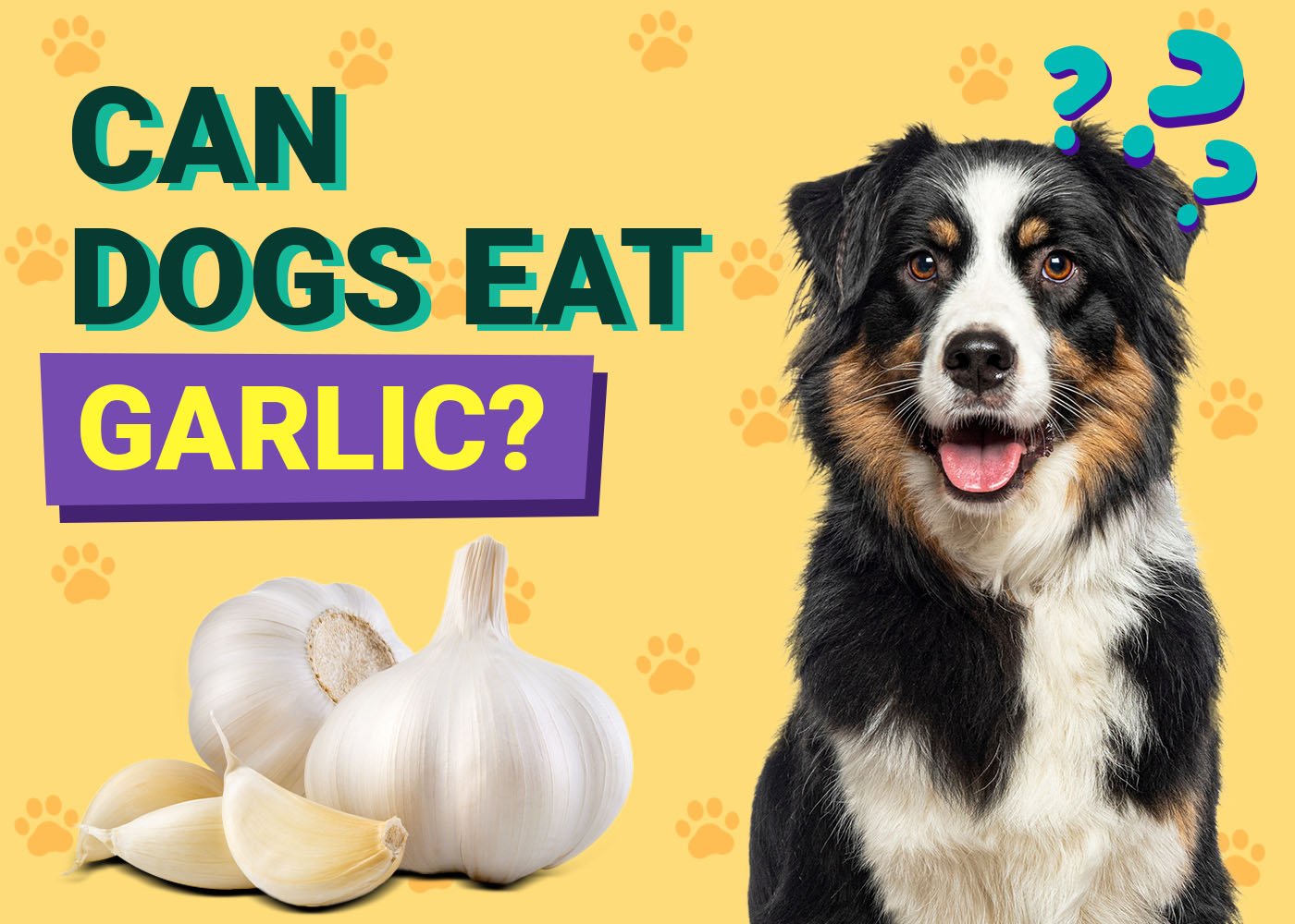 can dogs eat garlic