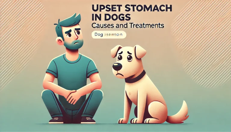 Upset stomach in dogs