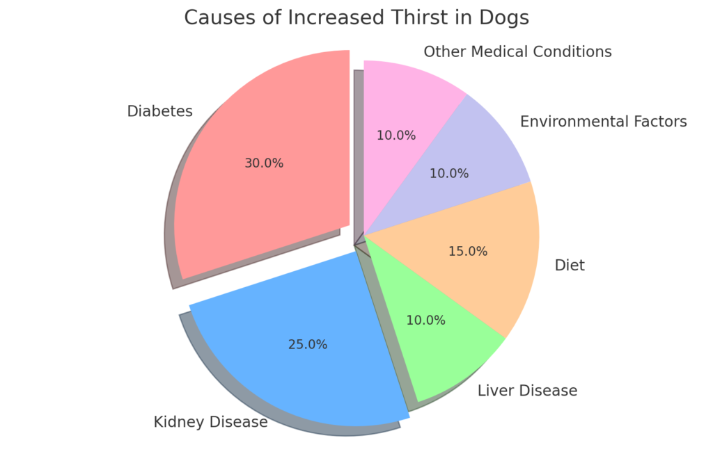 Causes of Increased Thirst in Dogs