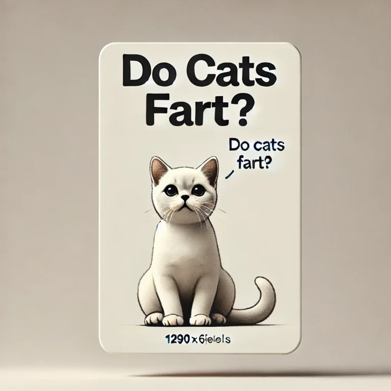 Do Cats Fart