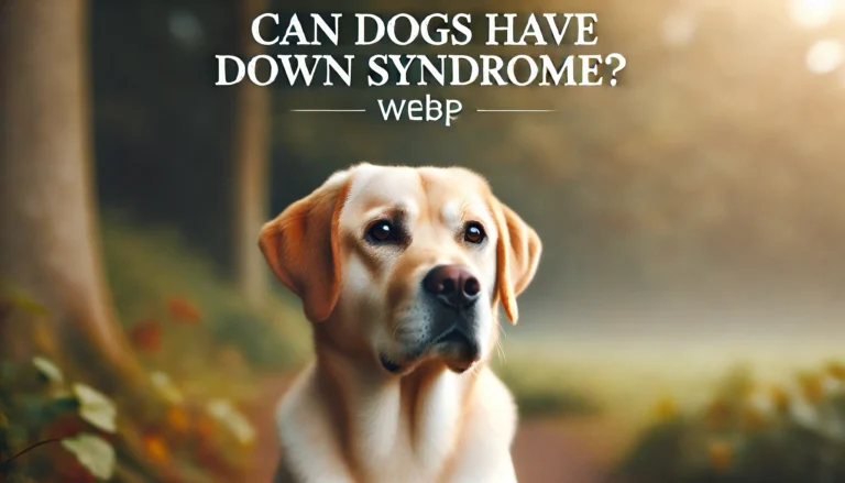 Down Syndrome Dog