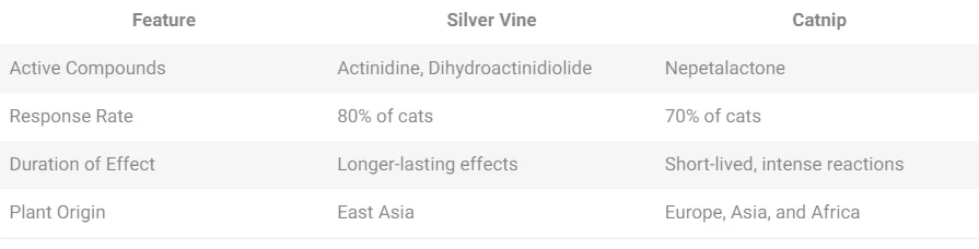 Table comparing silver vine with catnip