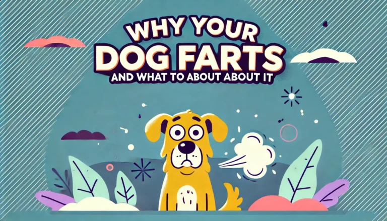 why your dog farts and what to do about it