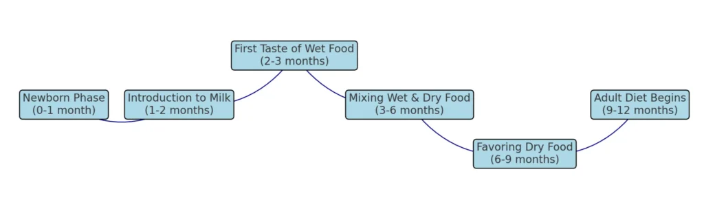 diet transition of cat