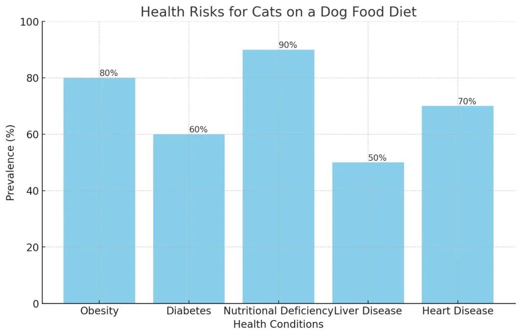 Health Risks for Cats on a Dog Food Diet